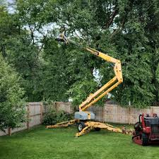 Best Firewood Processing and Delivery  in Nibley, UT