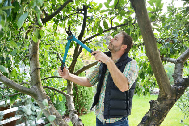 Best Arborist Consultation Services  in Nibley, UT